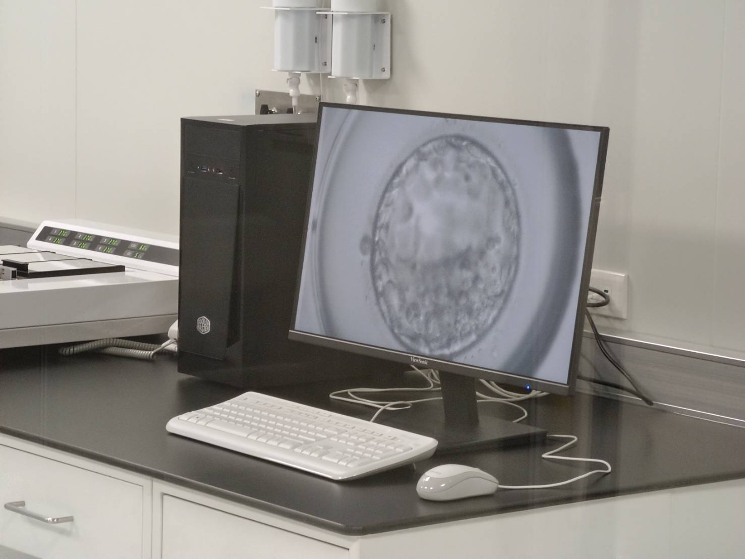 台灣2025年每5人有1人是長者！少子化衝擊…把握35歲前黃金「孕」勢