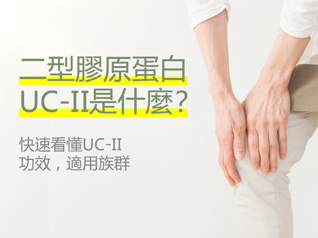 二型膠原蛋白(UC-II)是什麼？快速看懂UC-II功效、適用族群