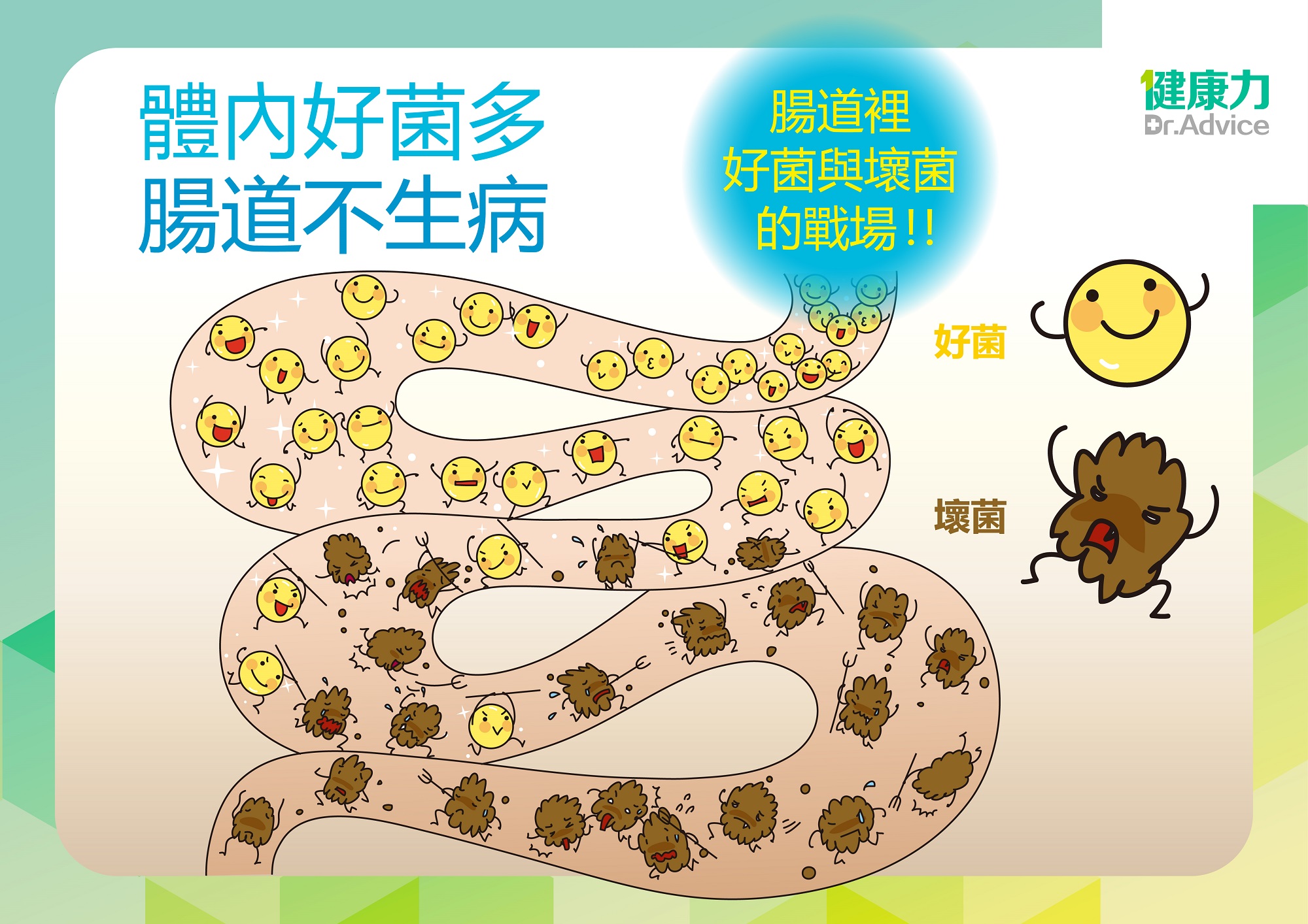 數百億益生菌嘸用！定殖腸道才有效…耐胃酸膽鹽一試見真章